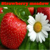Strawberry meadow