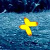 5 Butterflies