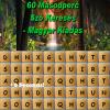 60 Second Word Search - Hungarian Edition