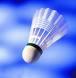 multiplayer badminton 在线羽毛球