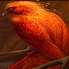 Alone flame bird slide puzzle