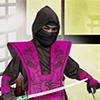 American Ninja Gold Match