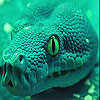 Angry green snake slide puzzle