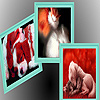 Animals in winter sleep puzzle