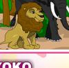Animals Of The Rainforest