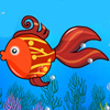 Aquarium Decoration
