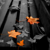 Autumn Day find numbers