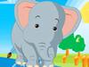 Baby circus elephant