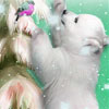 Bear and bird  slide puzzle