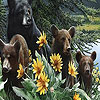 Bear family and flowers puzzle