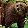 Bear in the forest slide puzzle