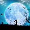 Beautiful night