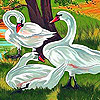 Beautiful swans slide puzzle