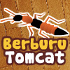 Berburu Tomcat