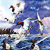 Bevy on the sea slide puzzle