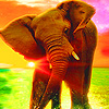 Big elephant in the sea puzzle