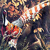 Big pheasant in the woods puzzle