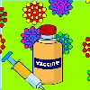 Bird Flu - Vaccinating