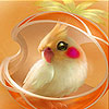 Bird in the cage slide puzzle
