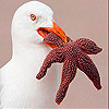 Bird near the sea slide puzzle