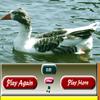 Bird Sliding Puzzle