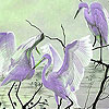 Birds at sunset slide puzzle