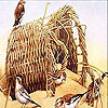 Birds in the bush slide puzzle