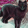 Black Jungle wolves puzzle