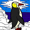 Black penguin coloring