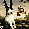 Black rabbit and friend puzzle