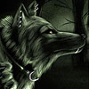Black wolf in the woods slide puzzle