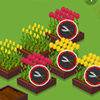 Bloom Flowers