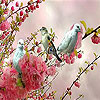 Blue birds  on the branch slide puzzle