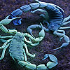 Blue Lobsters slide puzzle