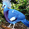 Blue parrot slide puzzle