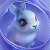 Blue pretty rabbit slide puzzle