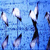 Blue river slide puzzle