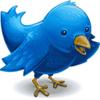 bluebirds