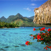 Bora Bora Jigsaw