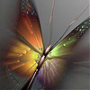Bright butterfly slide puzzle