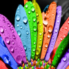Bright colors find numbers