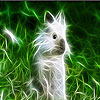 Bright rabbit slide puzzle
