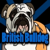 British Bulldog