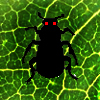 Bug Attack