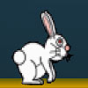 Bunny Hopps