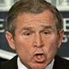 Bush Pong