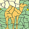 Camel in the desert coloring
