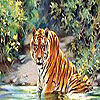 Cat in the lake puzzle