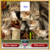 Cat Sliding Puzzle