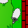 Catch The Sheep